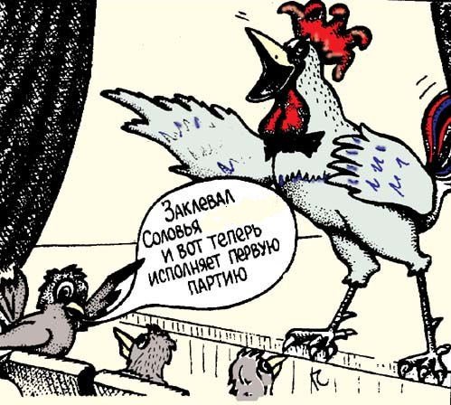 Анекдоты про кур