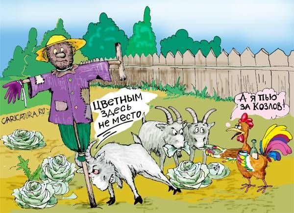 Карикатура пустили козла в огород