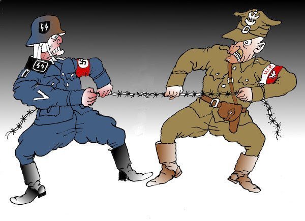 Польская армия карикатура