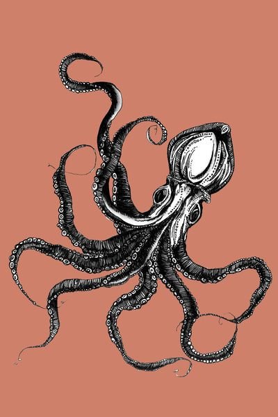 Спрут осьминог