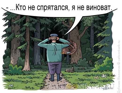 Приколы про грибников