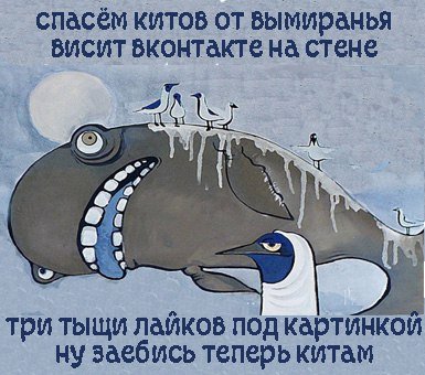 Киты карикатура юмор