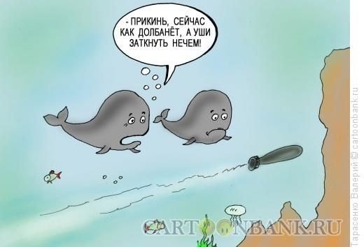 Кит карикатура