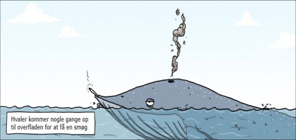 Внутри кита арт