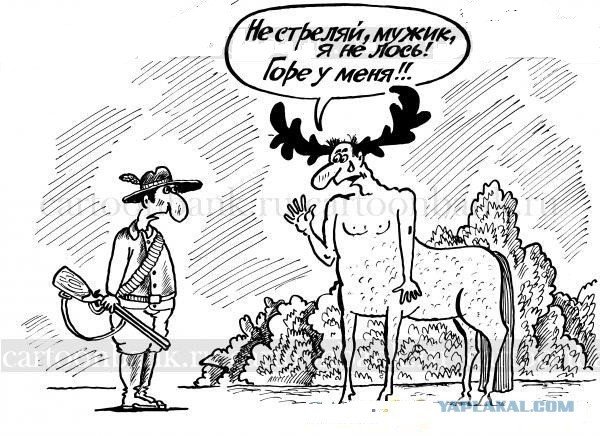 Наставила рога мужу