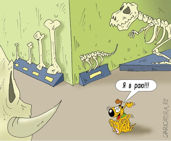 Карикатуры про собак смешные