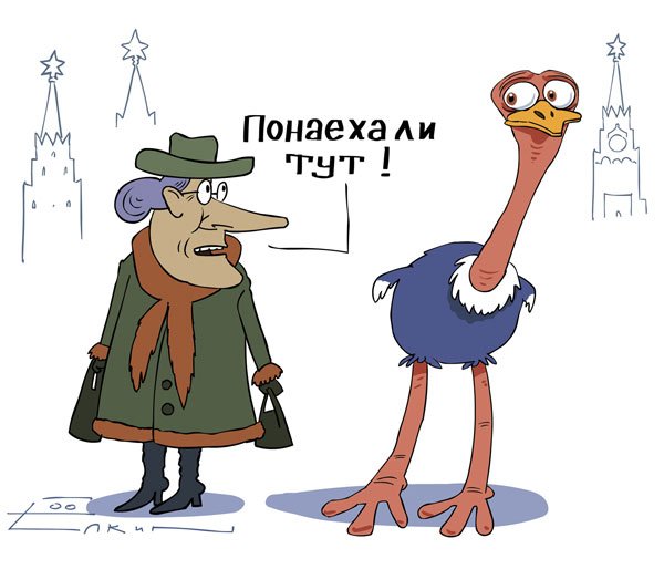 Страус карикатура