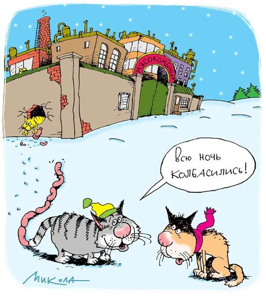 Карикатура кот спортсмен