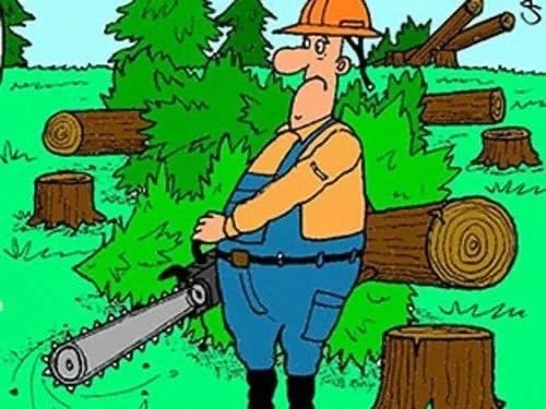 Лесоруб юмор
