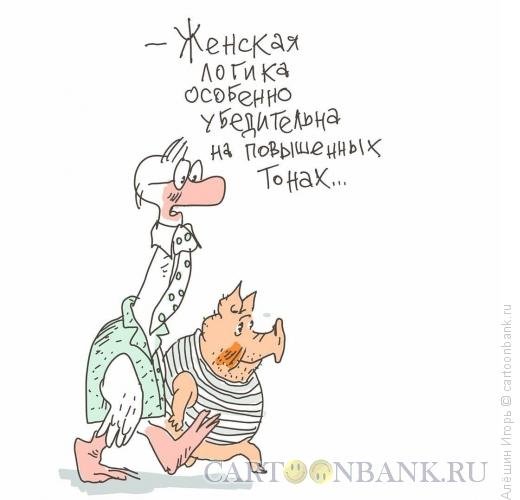 Женская логика карикатура