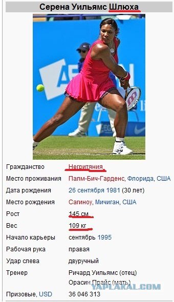 Карикатура на серену уильямс (47 фото)