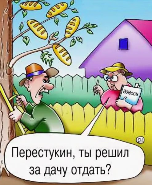 Дачник карикатура