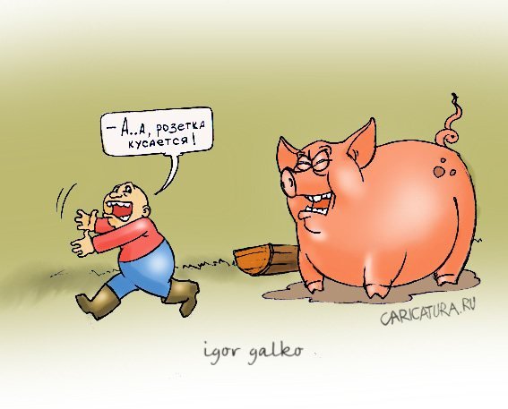 Свинья карикатура