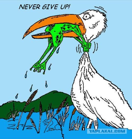 Лягушка и Аист никогда не сдавайся