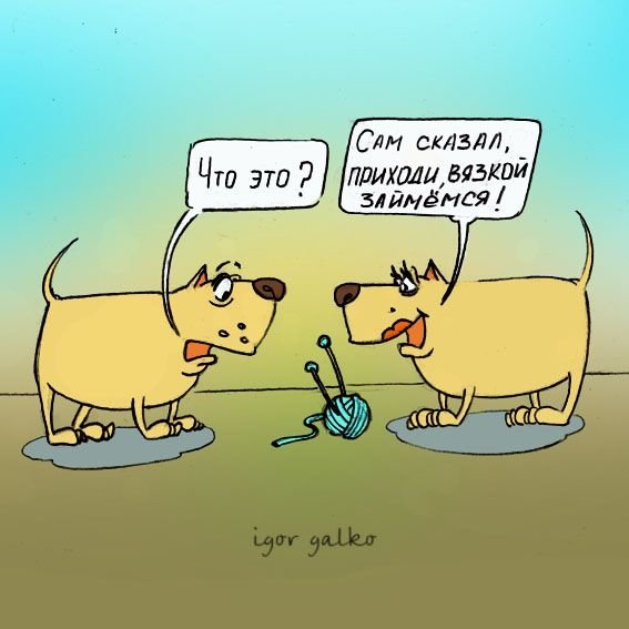 Анекдоты про собак