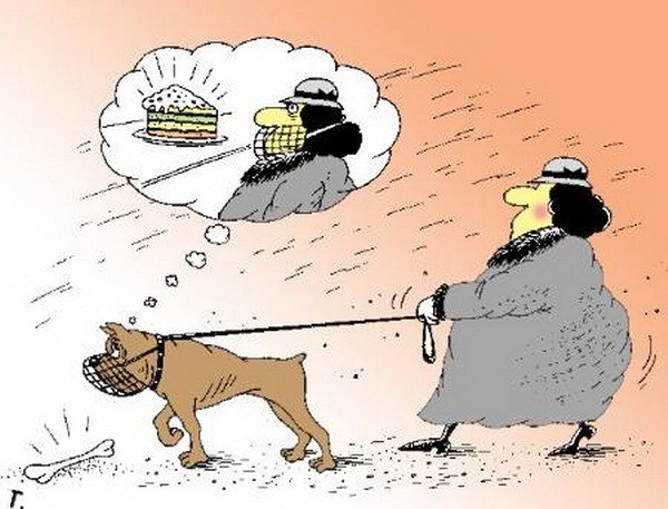 Карикатуры на собачников