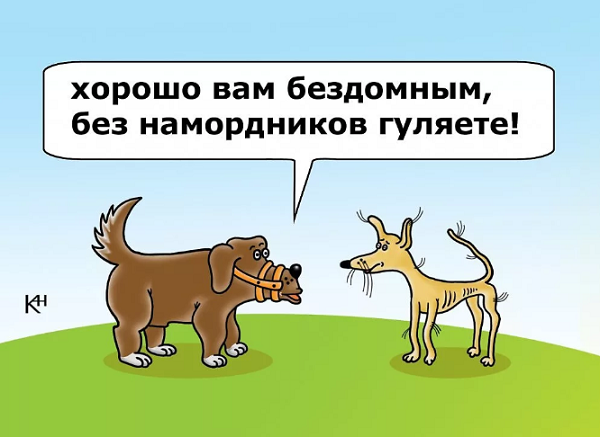 Анекдоты про собак