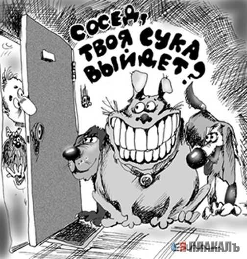 Собака карикатура