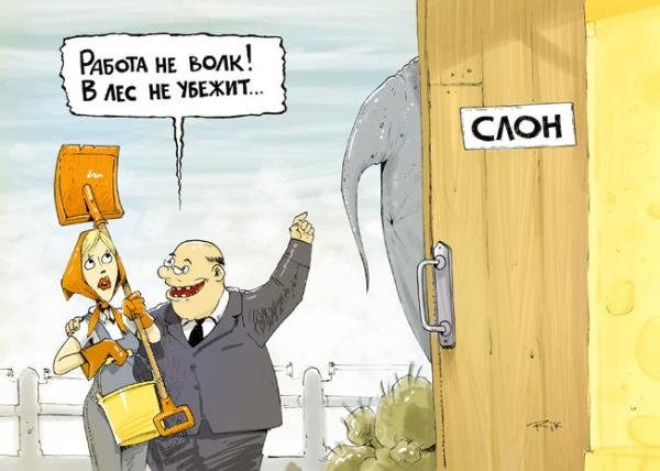 Работа в лес не убежит