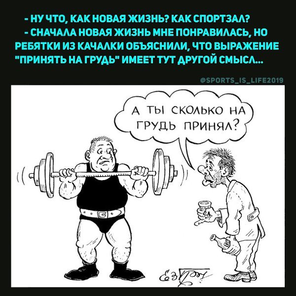 Здоровый образ жизни карикатура