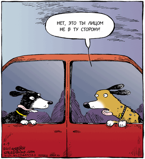 Приколы про споры