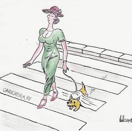 Пропала собака карикатура