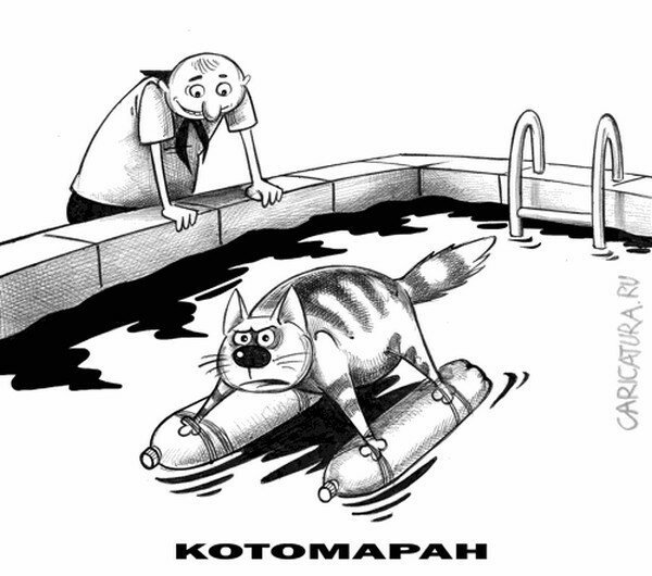 Поход карикатура юмор