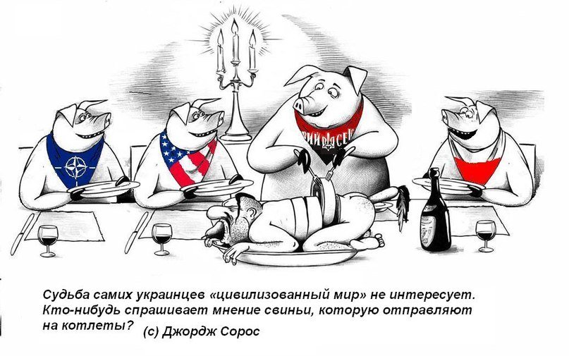Хохлы про крокус. Хохлы карикатуры. Смешные карикатуры про Хохлов. Украинцы свиньи карикатура.