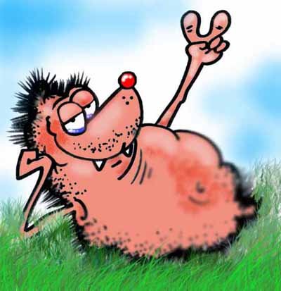 Привет карикатура