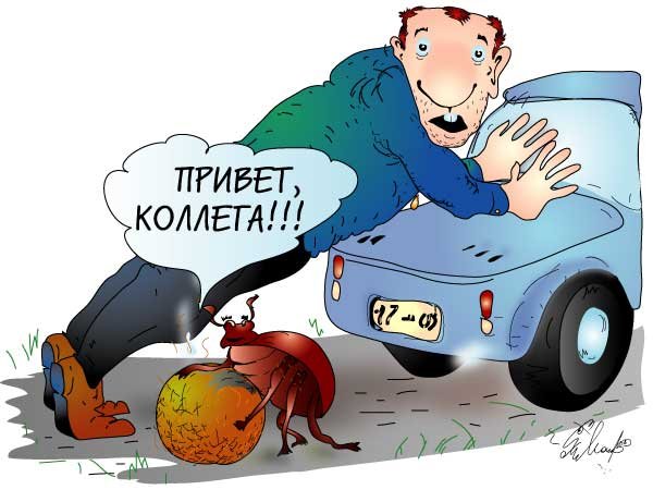 Коллеги карикатура