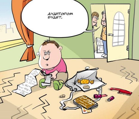 Аудит прикол