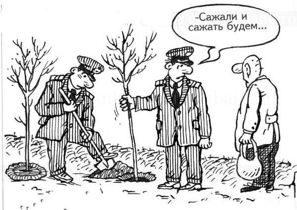 Посадка деревьев карикатура