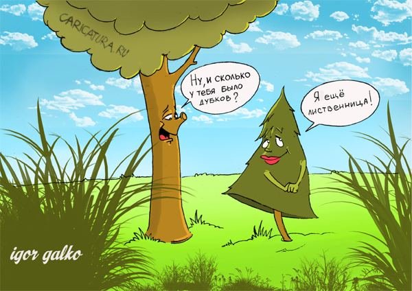 Анекдот про дерево