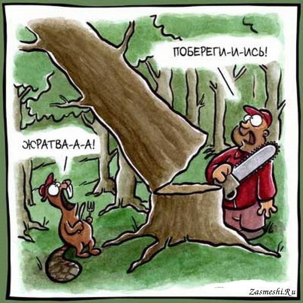 Дровосек карикатура