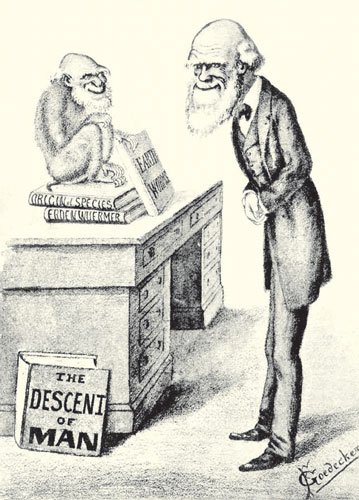 Дарвин Смит 20 век