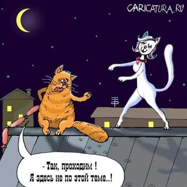 Женщина с котом на диване