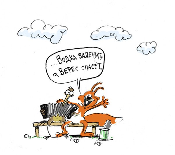 Карикатура белки