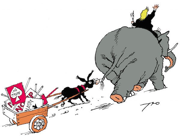 Ослик карикатура