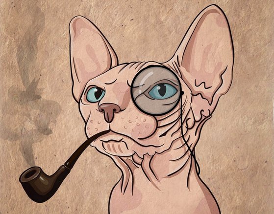 Сфинкс гуашью