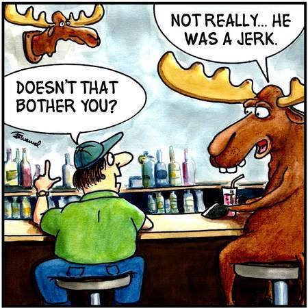 Лось прикольные картинки