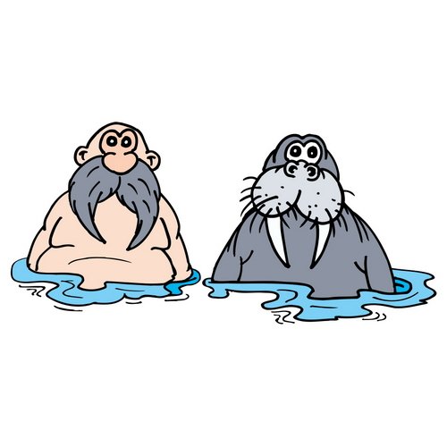 Моржи мультяшные