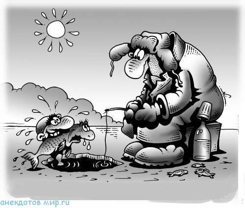 Моржевание карикатура