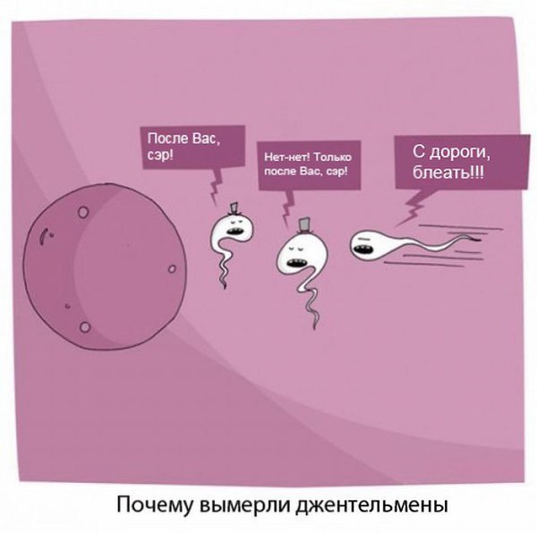 Почему вымерли джентльмены