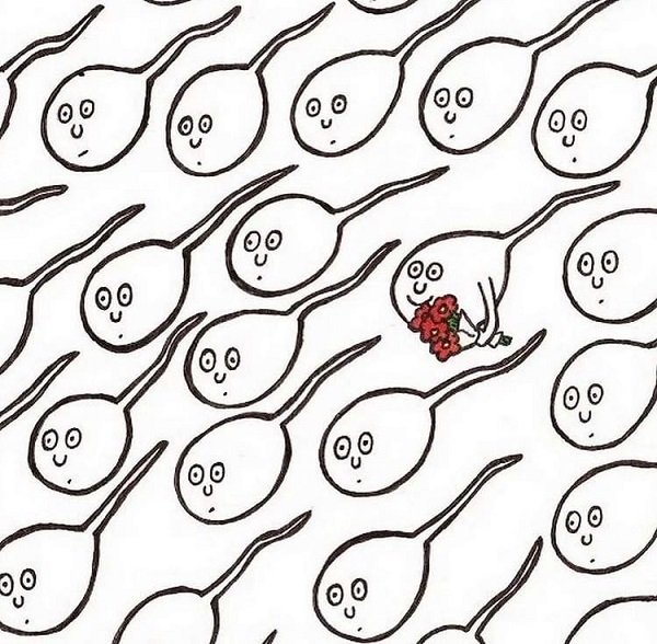 Прикольные сперматозоиды