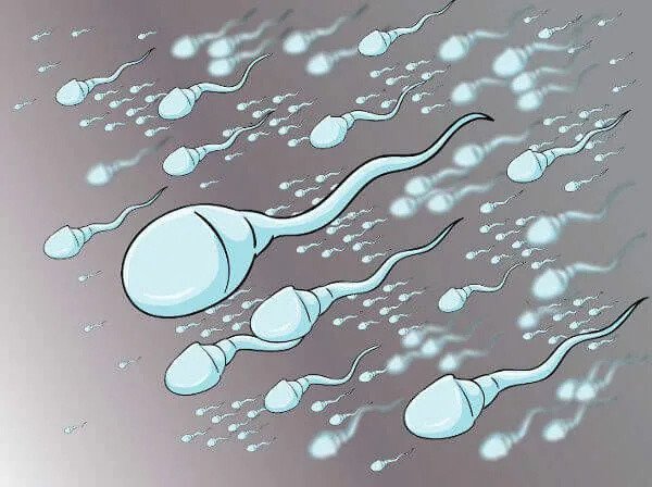 Шутки про доноров