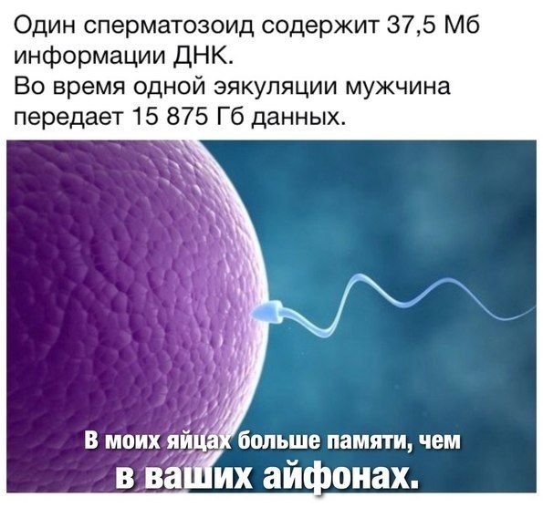 Нас предали мы в ж