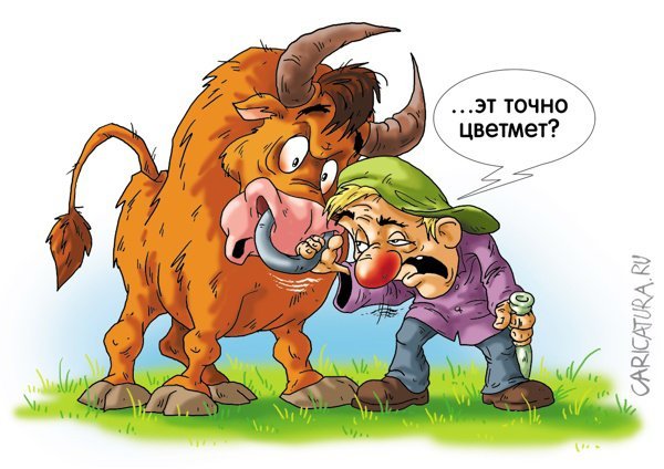 Бык с коровой карикатура