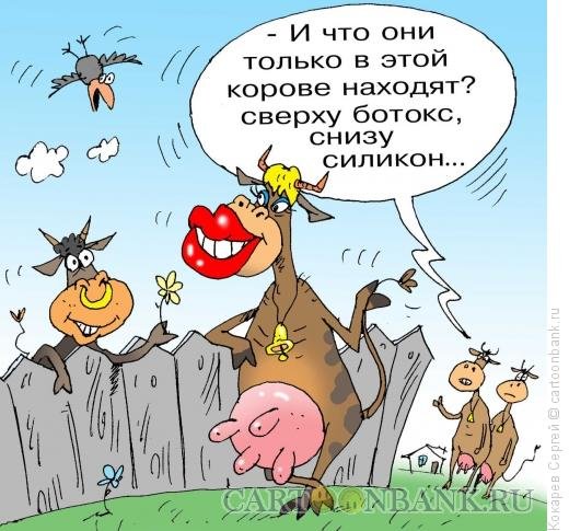 Бык карикатура