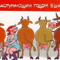 Корова карикатура