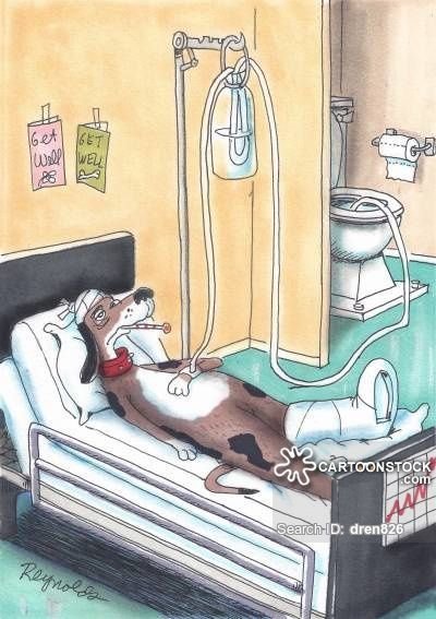 Карикатура под капельницей